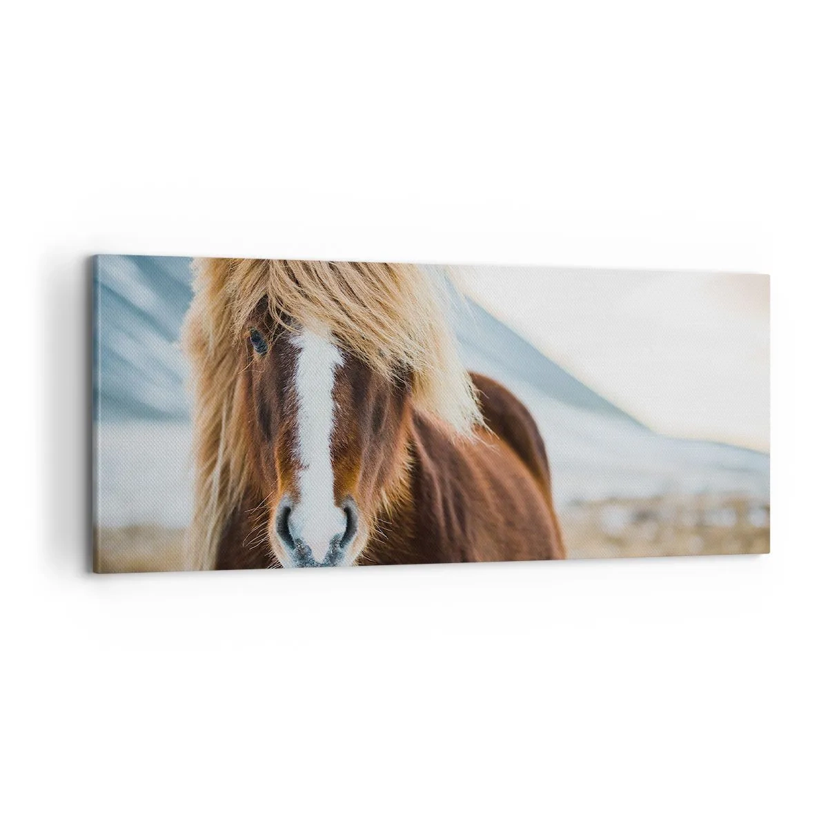 Quadro su tela - Stampe su Tela - Senti la libertà? - 100x40 cm