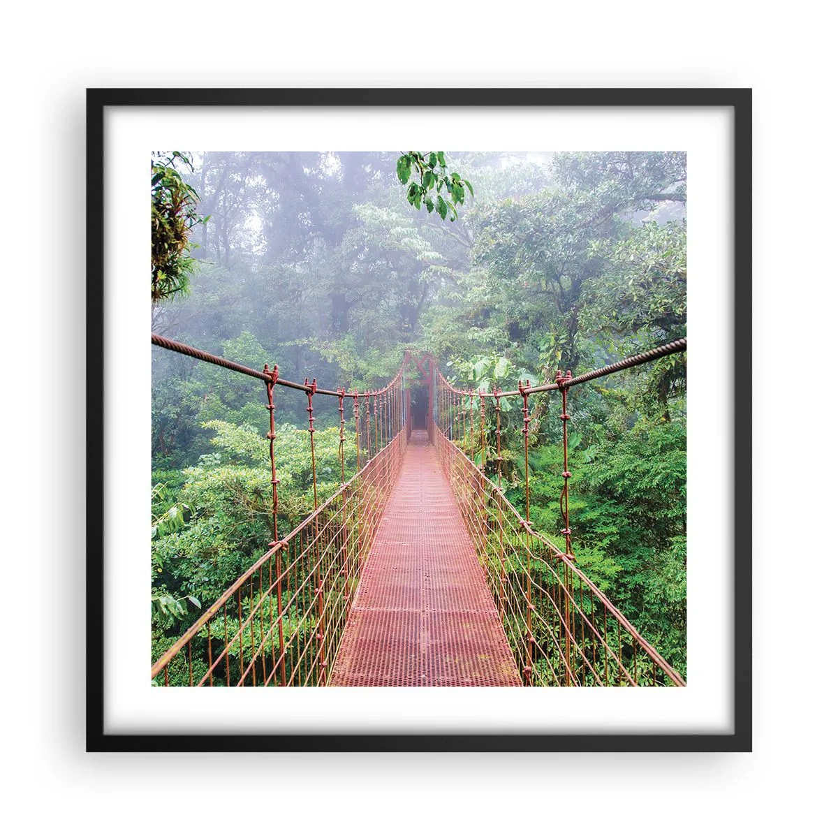 Poster in cornice nera - Sospeso sopra gli alberi - 50x50 cm