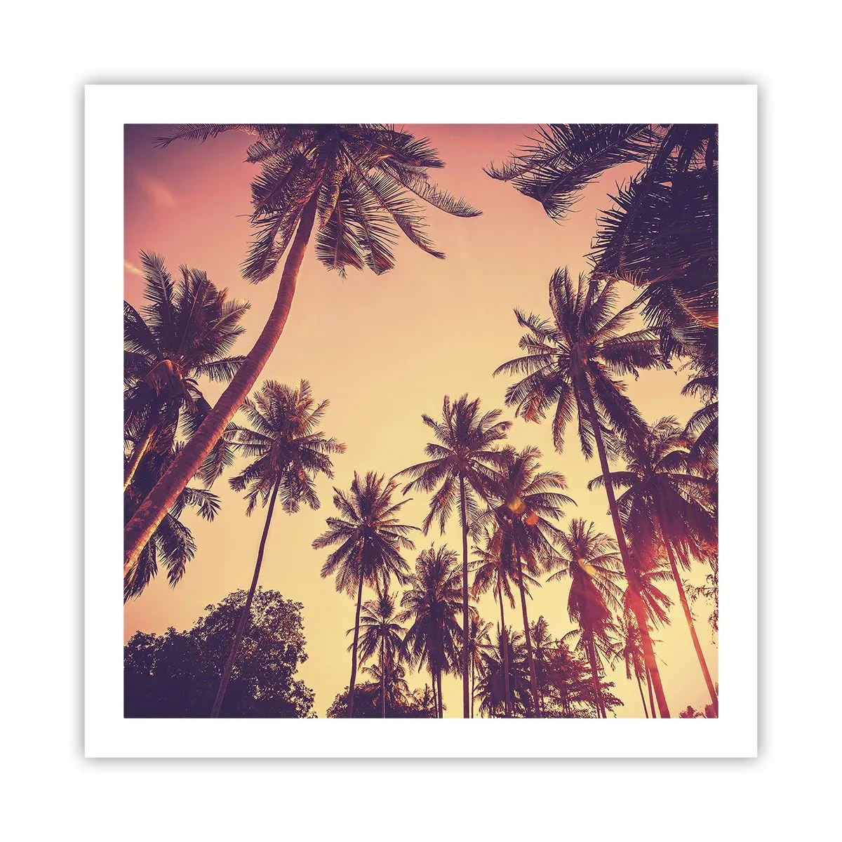 Poster - Composizione tropicale - 60x60 cm