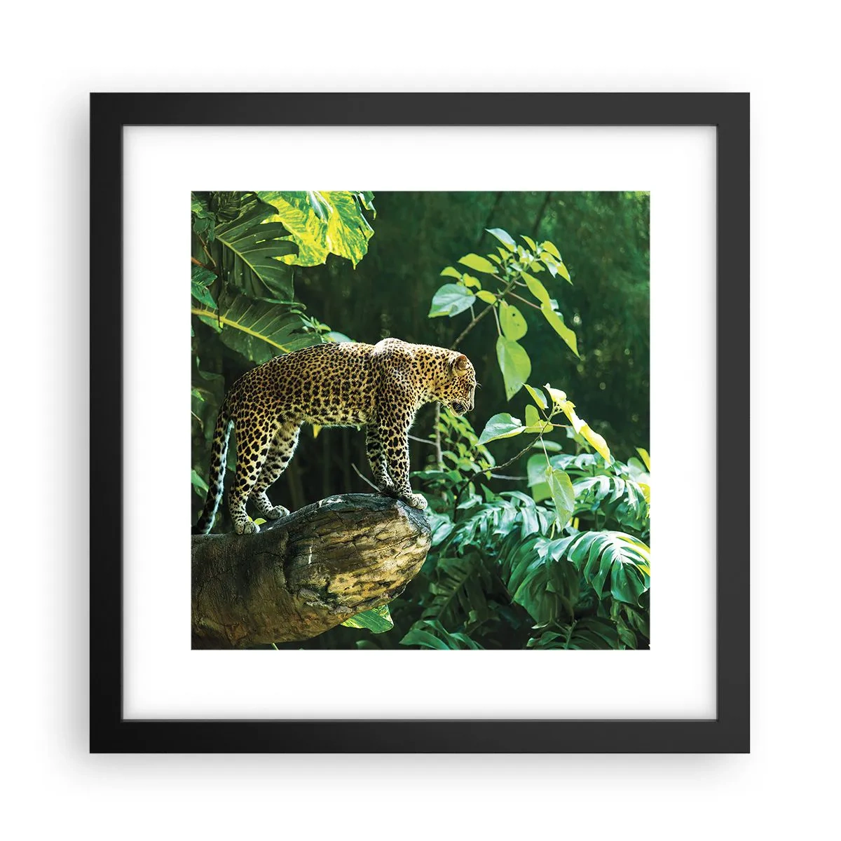 Poster in cornice nera - A caccia? - 30x30 cm