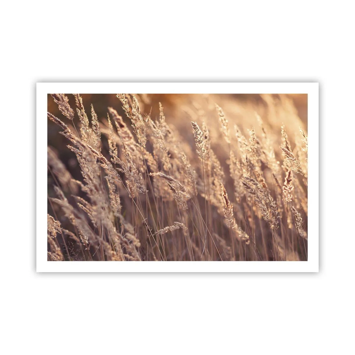 Poster - Pronti a salutare l'autunno - 91x61 cm