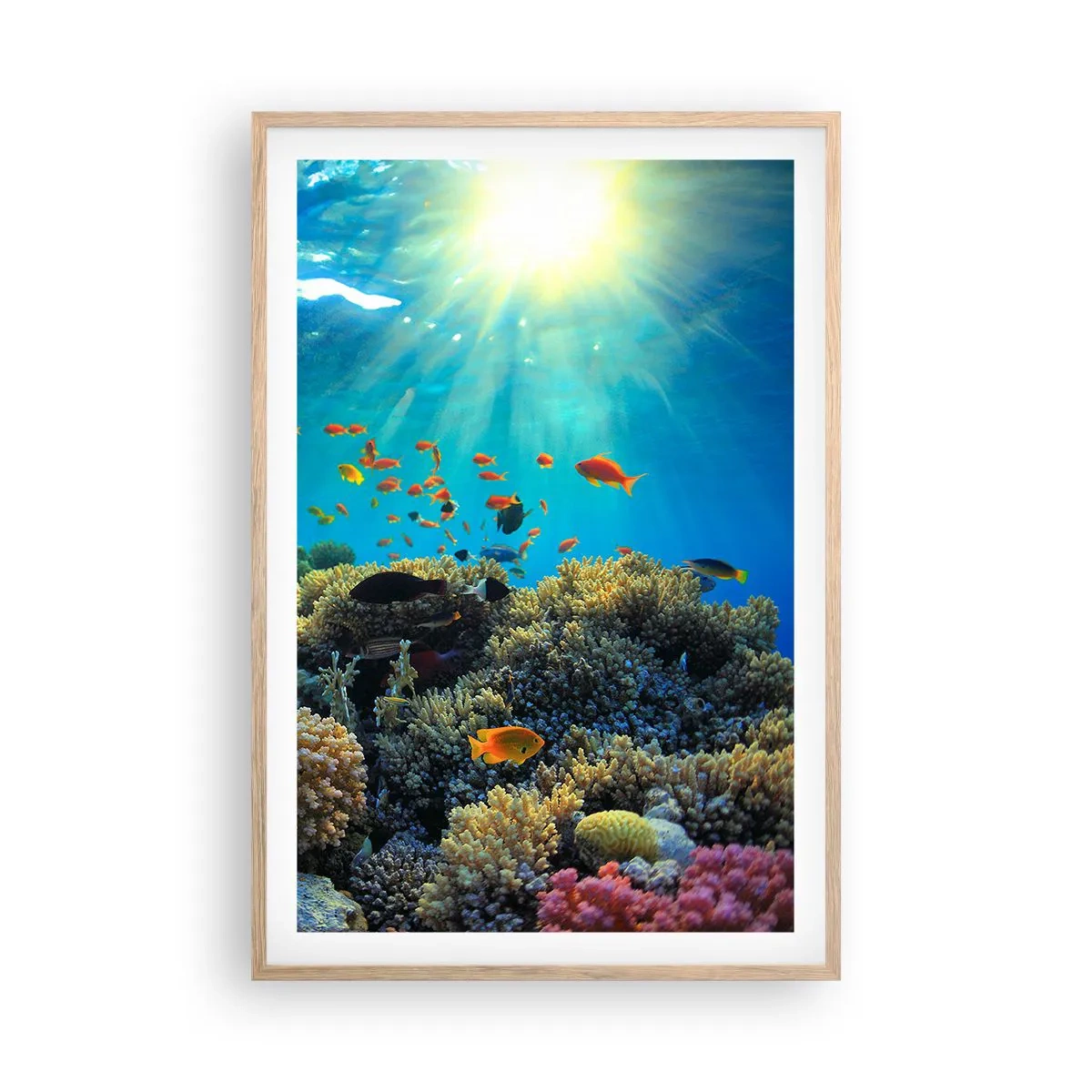 Poster in cornice rovere chiaro - Tesori sotto al mare - 61x91 cm