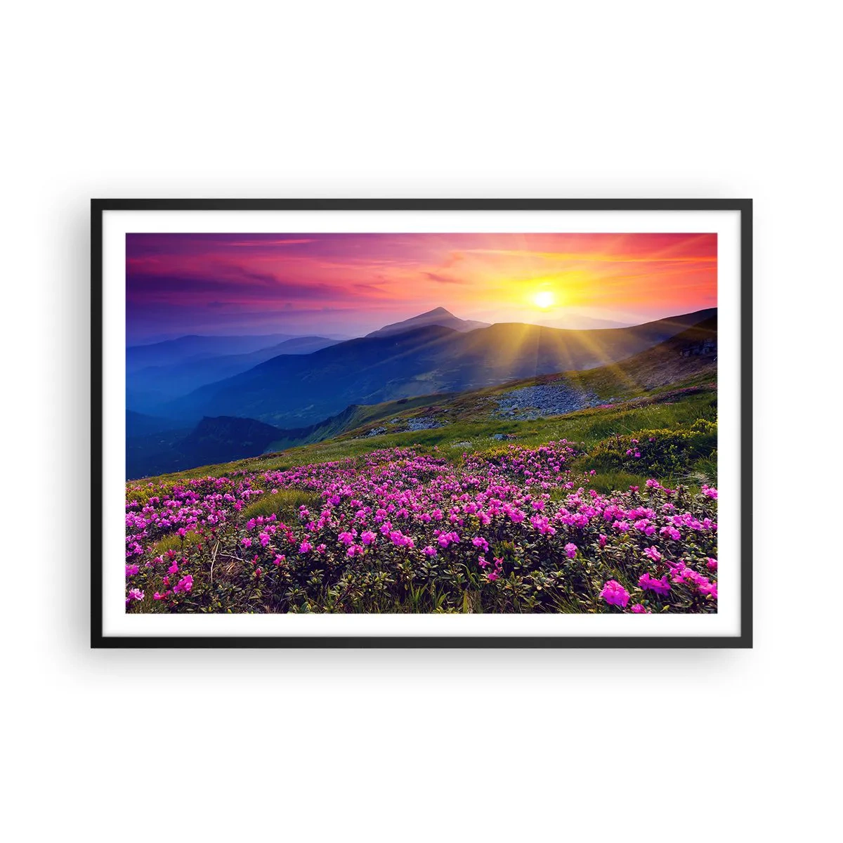 Poster in cornice nera - Odore di mugo e profumo di erbe - 91x61 cm