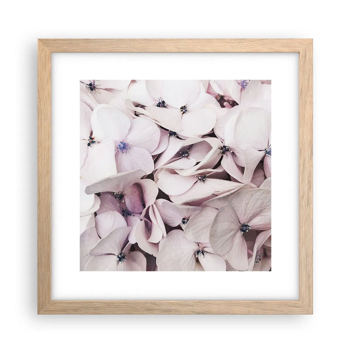 Poster in cornice rovere chiaro - Un'alluvione di fiori - 30x30 cm