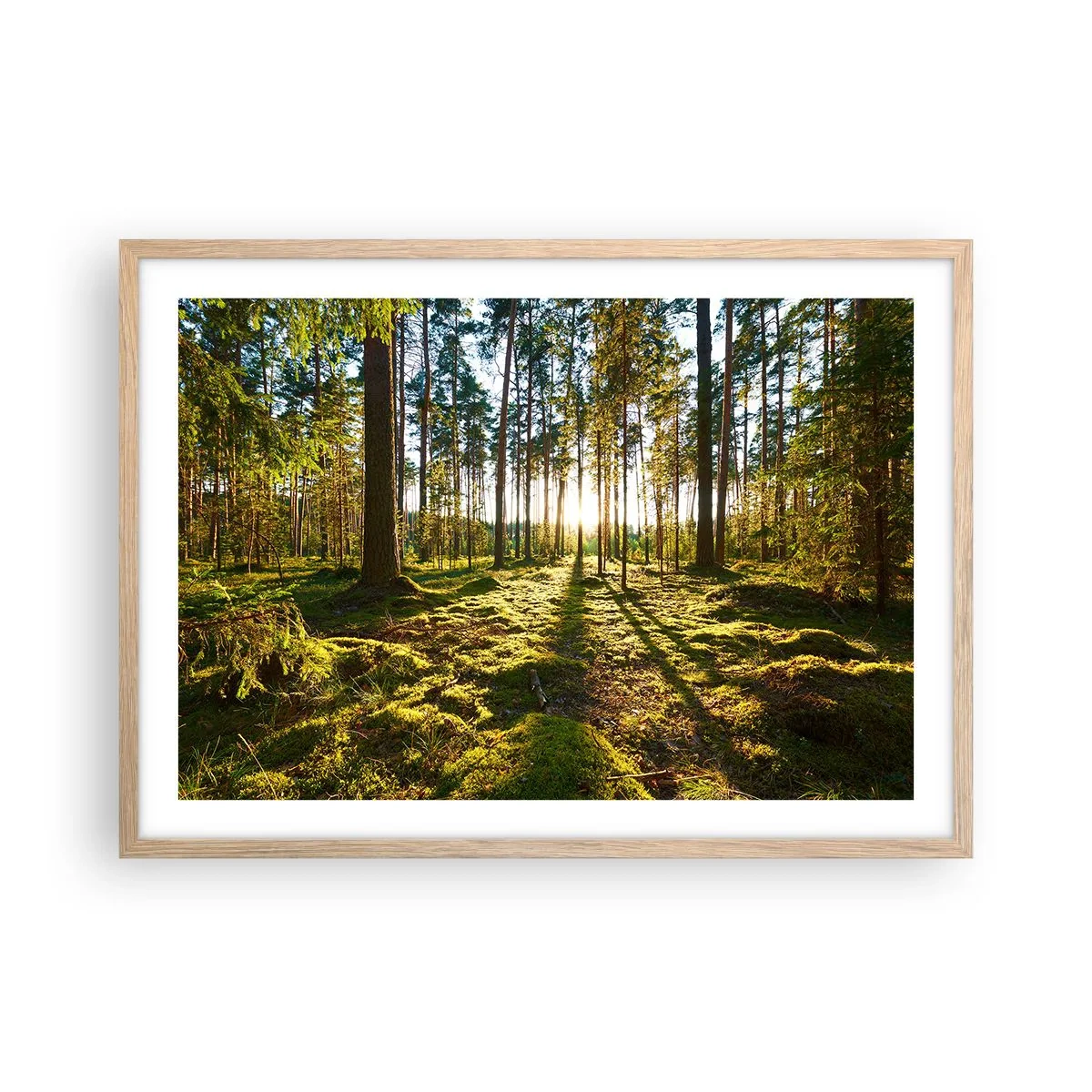 Poster in cornice rovere chiaro - …dopo sette foreste - 70x50 cm