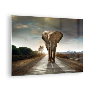 Quadro su vetro - Un elefante che cammina lungo la strada al tramonto - 70x50cm - E non nel negozio di cristalli - Decorazione murale moderna per soggiorno e camera da letto ARTTOR