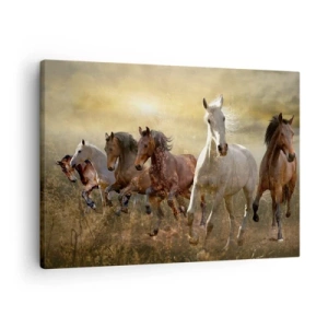 Quadro su tela - Stampe su Tela - Un gruppo di cavalli al galoppo sullo sfondo del sole al tramonto - 70x50cm - Evviva la libertà! - Decorazione murale moderna per soggiorno e camera da letto ARTTOR