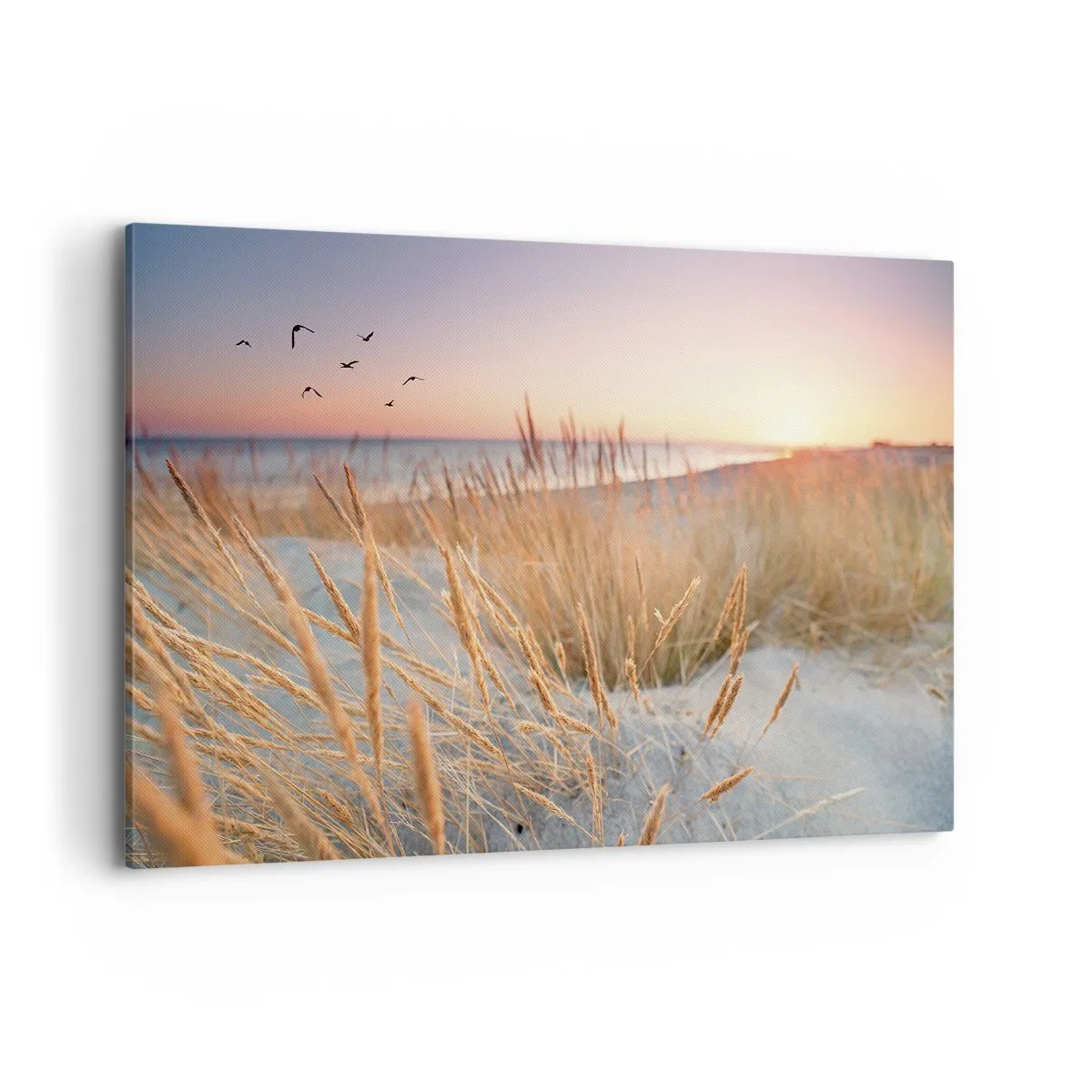 Quadro su tela - Stampe su Tela - Spiaggia al tramonto con erba alta - 120x80cm - Ninna nanna baltica - Decorazione murale moderna per soggiorno e camera da letto ARTTOR