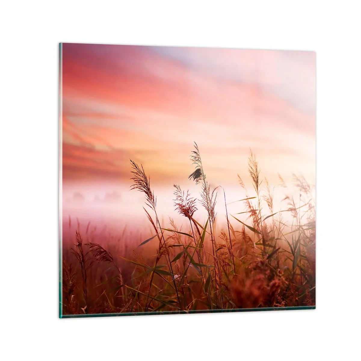 Quadro su vetro - Aquiloni, denti di leone, vento - 70x70 cm