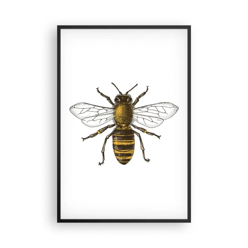 Poster in cornice nera - Bella e buona - 61x91 cm