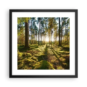 Poster in cornice nera - …dopo sette foreste - 40x40 cm