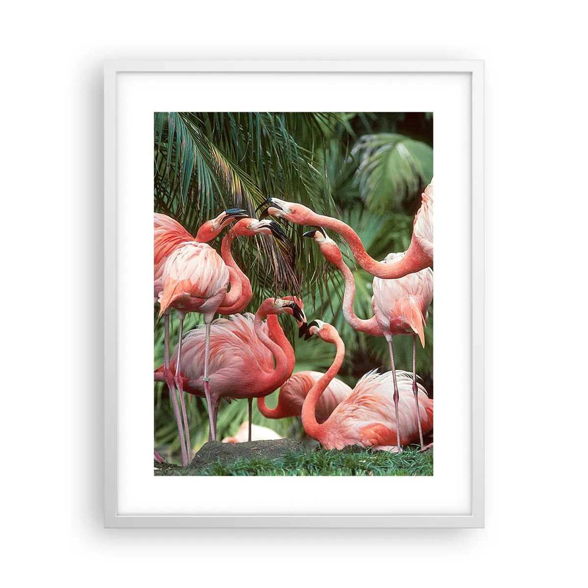 Poster in cornice bianca - Pettegolezzi pomeridiani - 40x50 cm