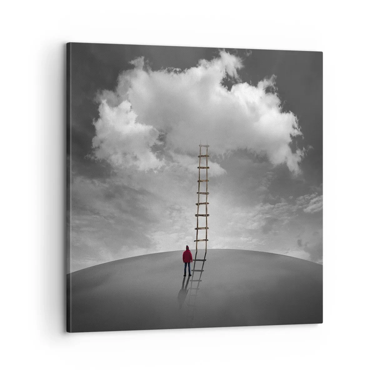 Quadro su tela - Stampe su Tela - Tutto è possibile - 60x60 cm