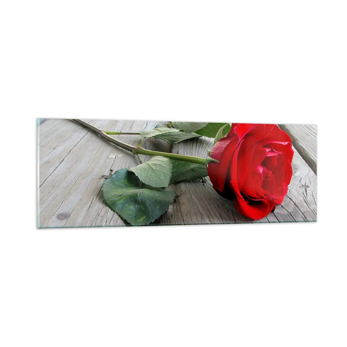 Quadro su vetro - Studio in scarlatto - 90x30 cm