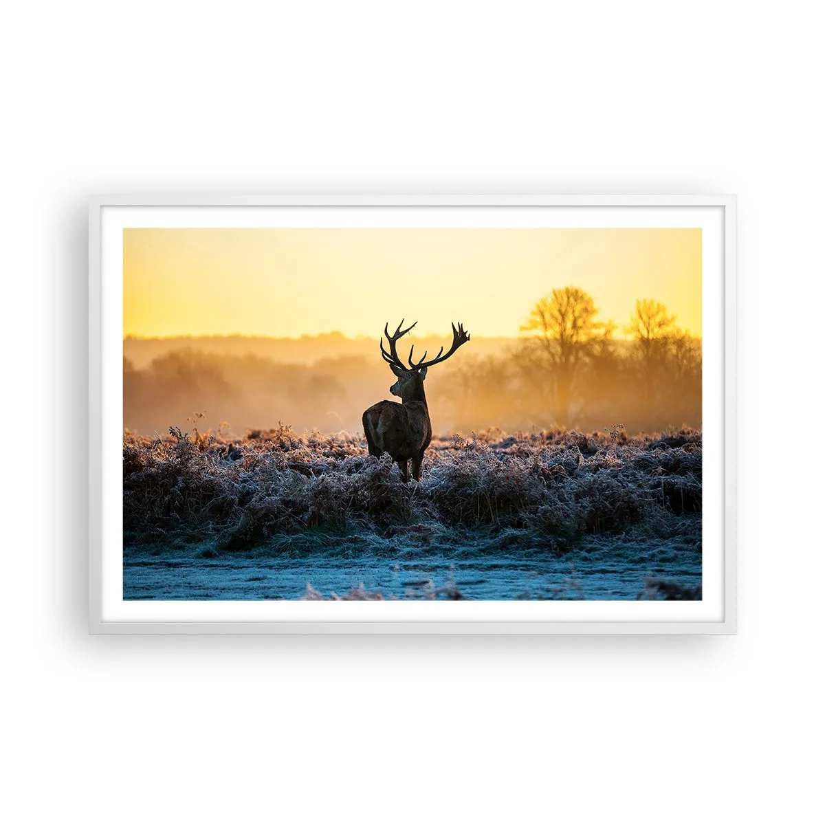 Poster in cornice bianca - Incoronato nelle sue terre - 91x61 cm