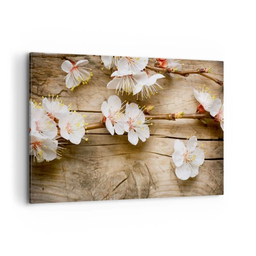 Quadro su tela - Stampe su Tela - Rami di ciliegi in fiore su uno sfondo di tavola di legno - 120x80cm - Ed è giunta la primavera - Decorazione murale moderna per soggiorno e camera da letto ARTTOR