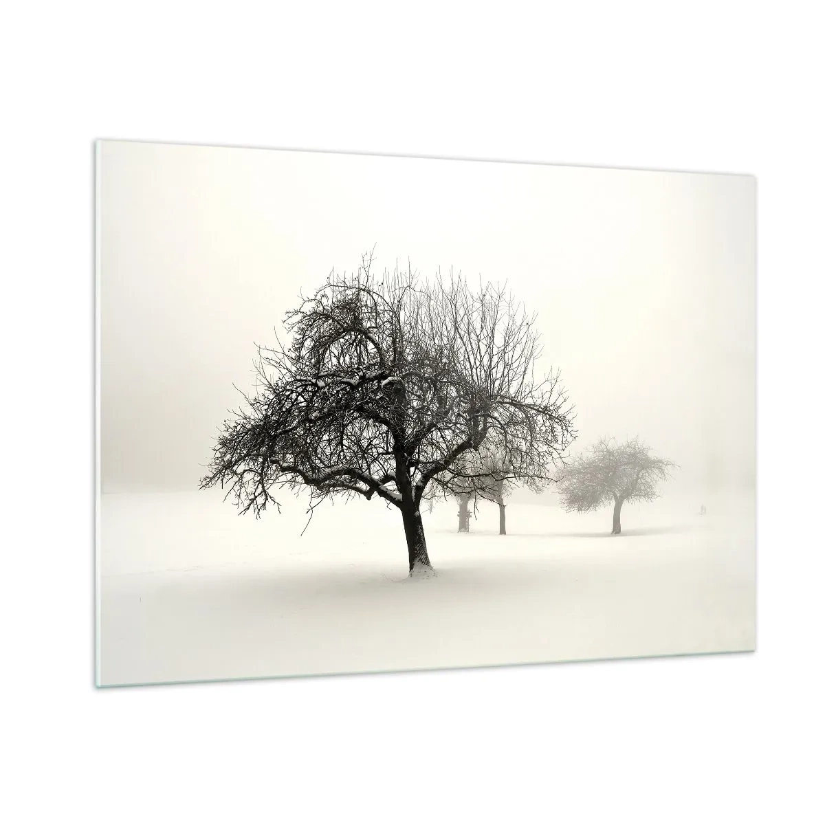 Quadro su vetro - Alberi in un paesaggio invernale coperto di neve e nebbia - 100x70cm - Sogno invernale - Decorazione murale moderna per soggiorno e camera da letto ARTTOR
