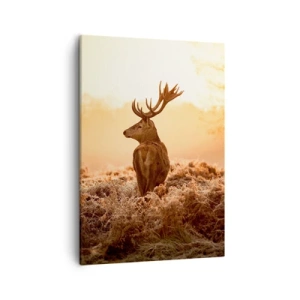 Quadro su tela - Stampe su Tela - Cervo nei raggi del sole nascente - 50x70cm - Il signore sulle sue terre - Decorazione murale moderna per soggiorno e camera da letto ARTTOR