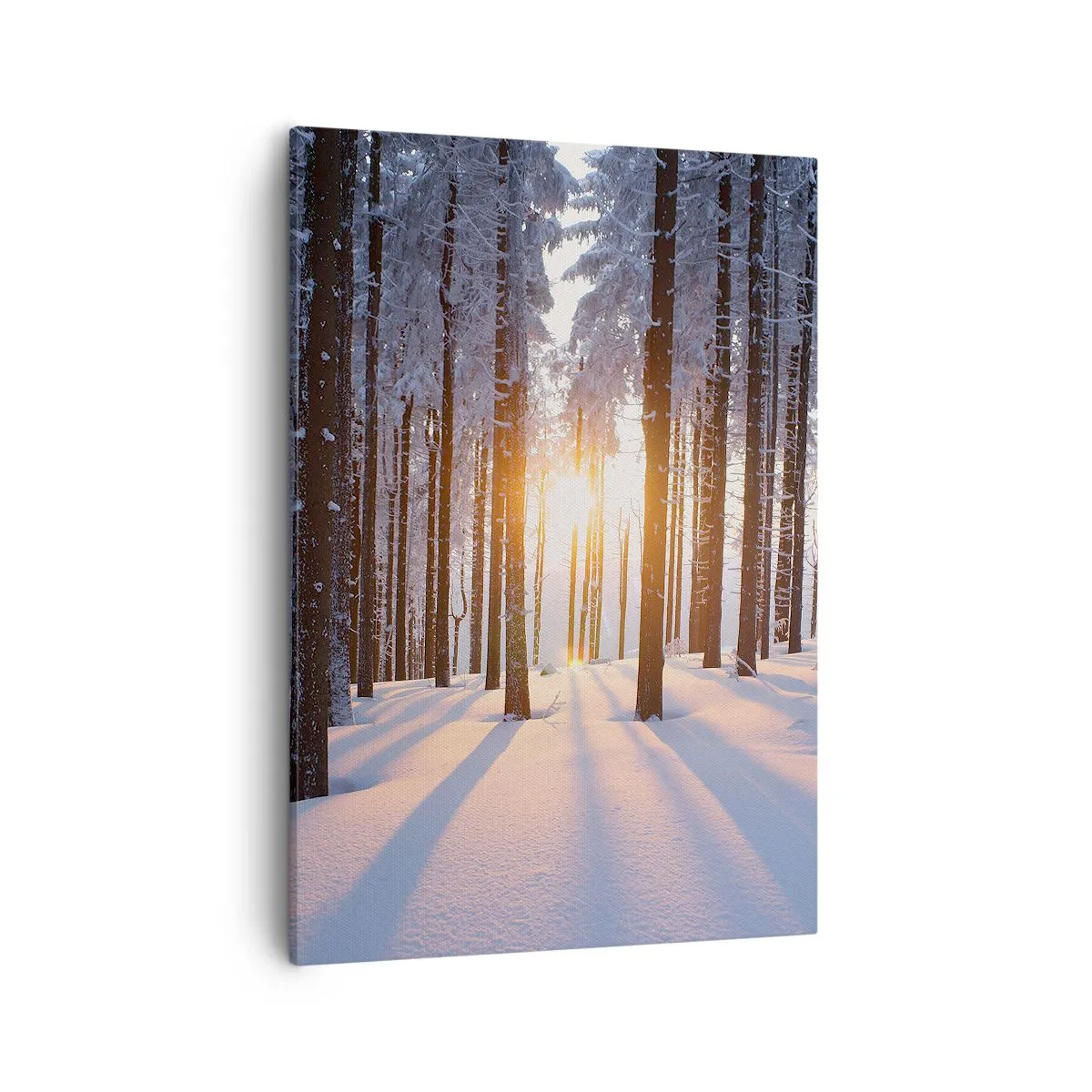 Quadro su tela - Stampe su Tela - Foresta invernale illuminata dai raggi del sole - 50x70cm - Decisamente nero su bianco - Decorazione murale moderna per soggiorno e camera da letto ARTTOR