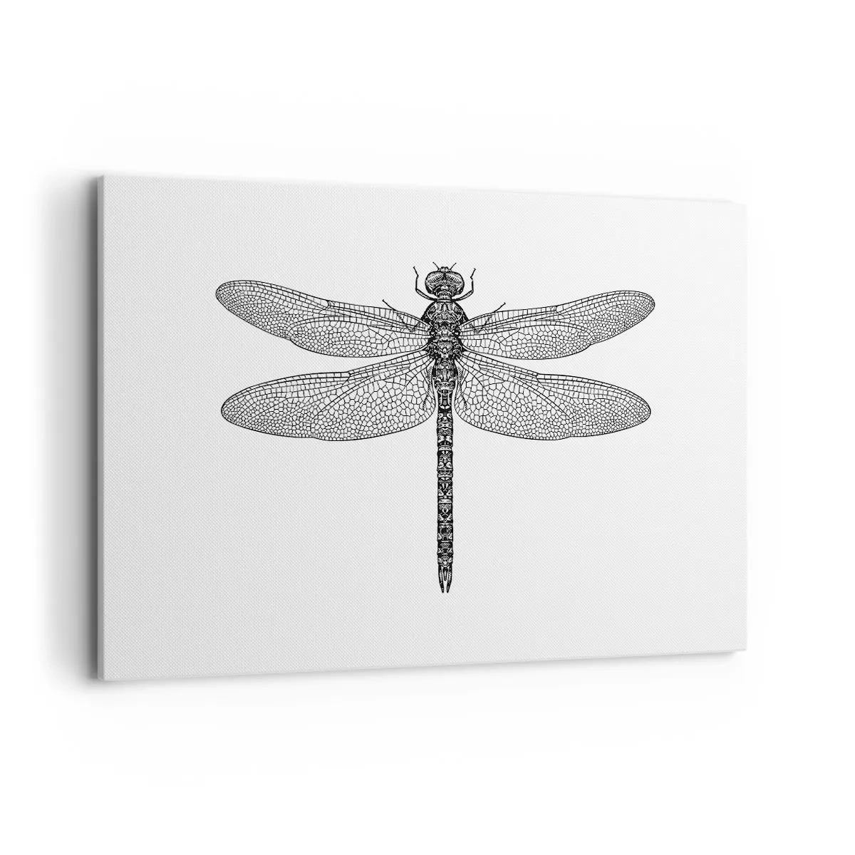 Quadro su tela - Stampe su Tela - Disegno in bianco e nero di una libellula su sfondo bianco in stile minimalista - 100x70cm - La precisione della natura - Decorazione murale moderna per soggiorno e camera da letto ARTTOR