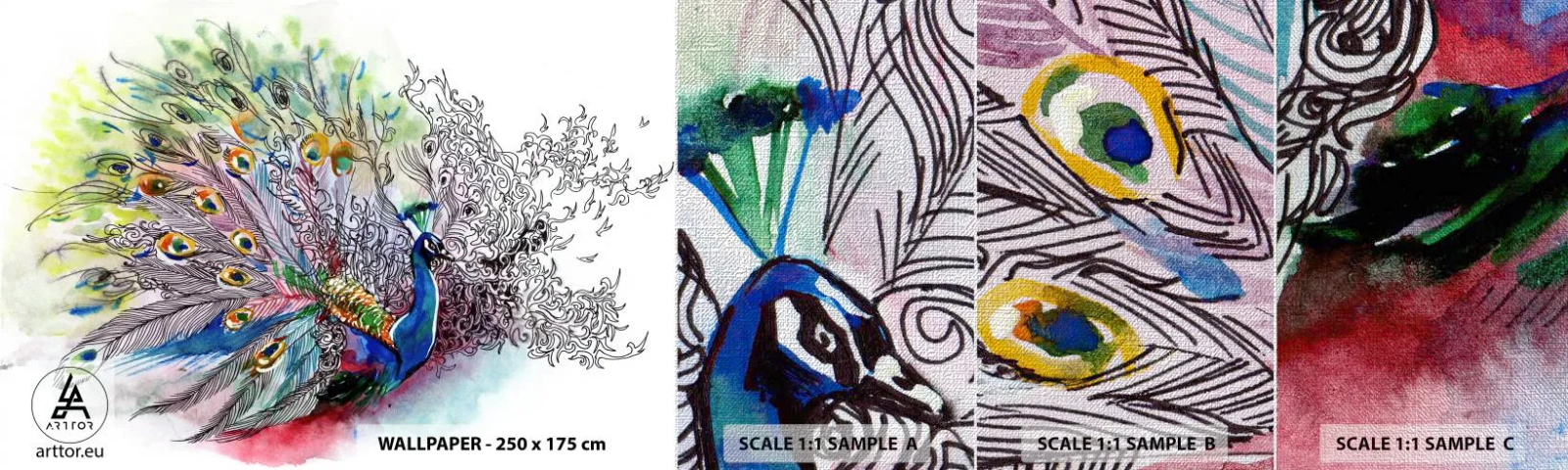 Campione di Fotomurale Premium Canvas - Con orgoglio contro il grigio - Uccello, Pavone, Piume - 100x30 cm