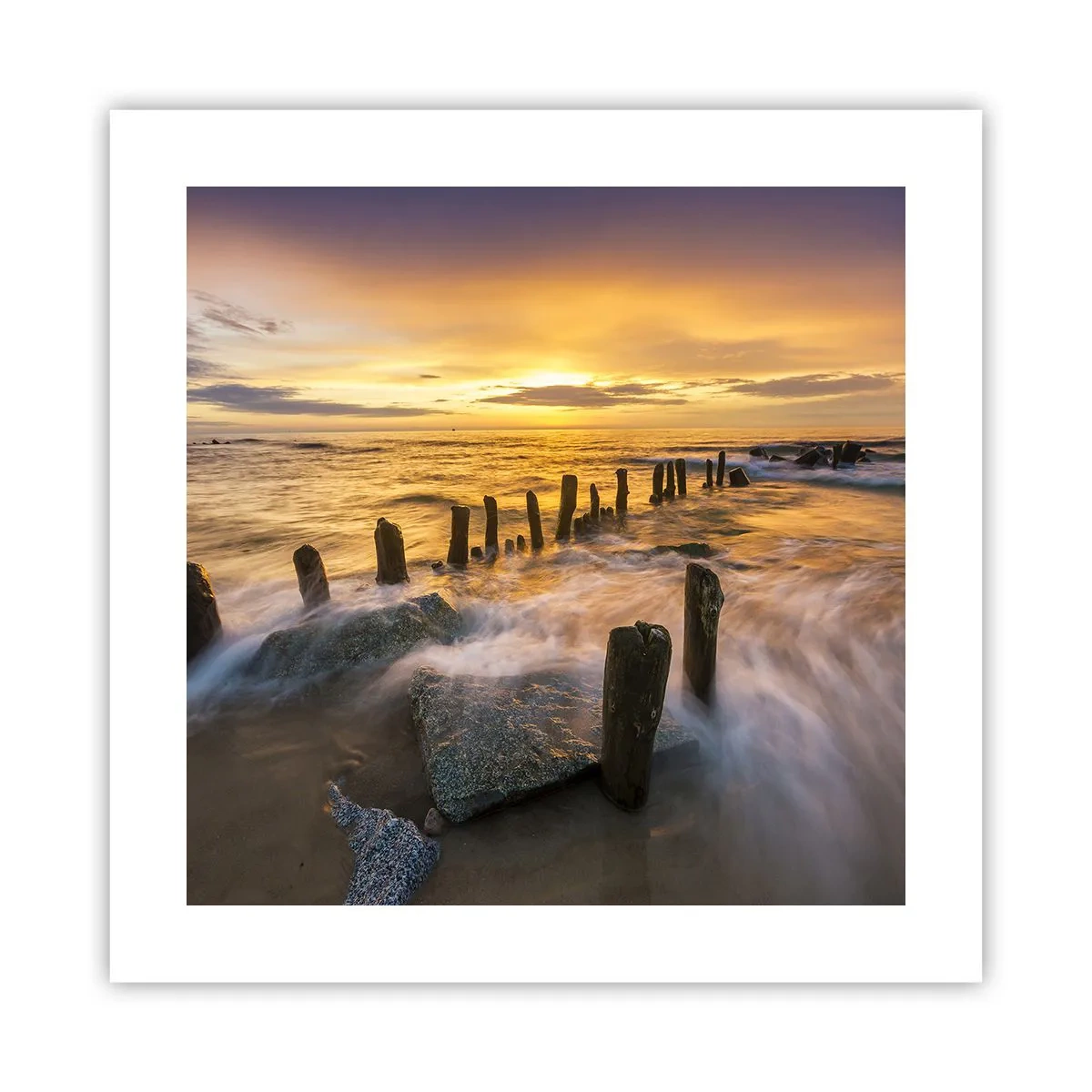 Poster - La bellezza selvatica del Baltico - 40x40 cm