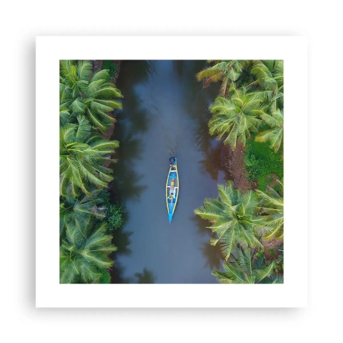 Poster - Sul percorso tropicale - 40x40 cm