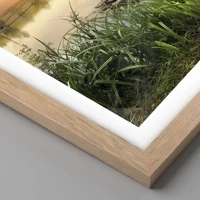 Rovere chiaro
