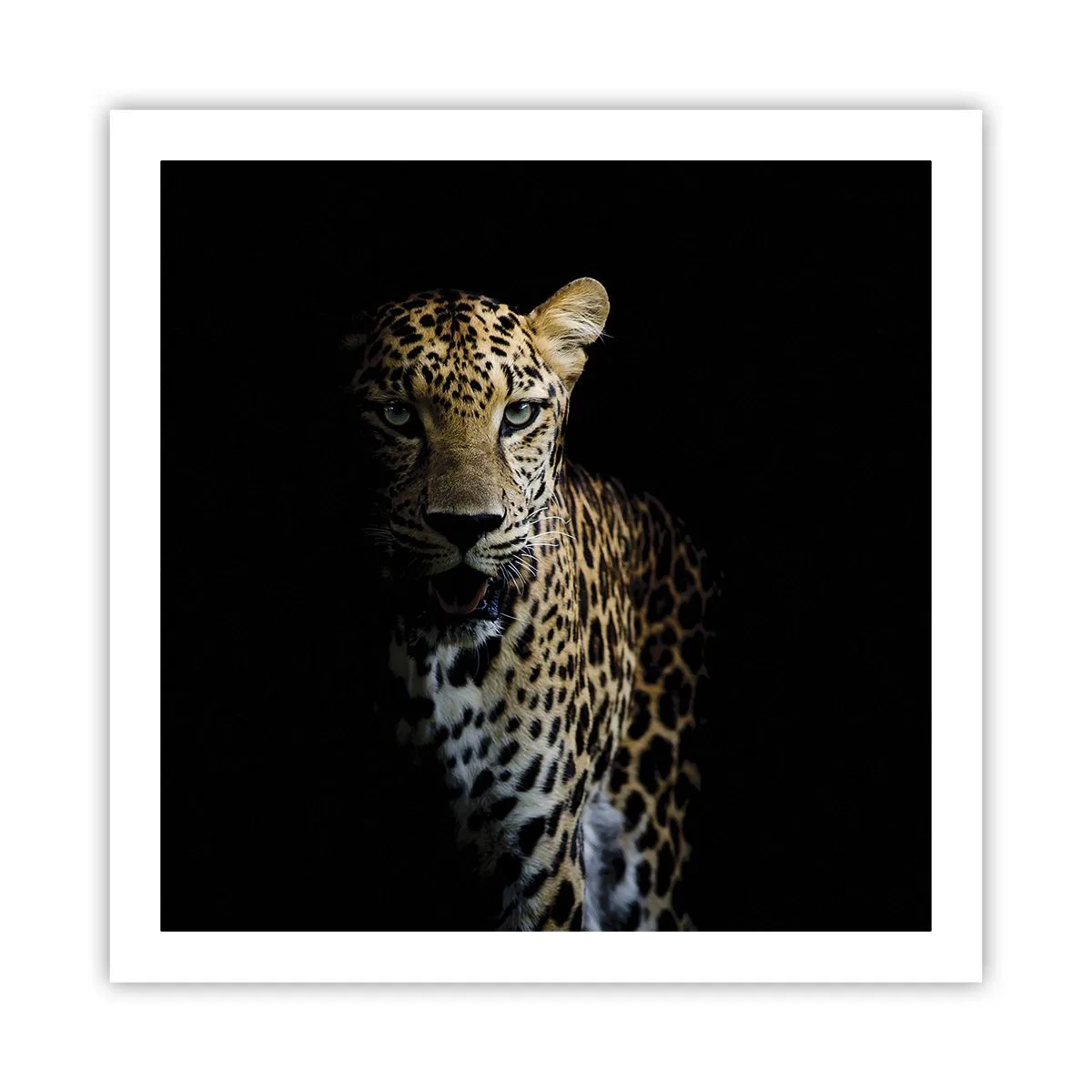 Poster - Bellezza tenebrosa - 60x60 cm