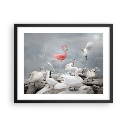 Poster in cornice nera - Come sono arrivato qui? - 50x40 cm