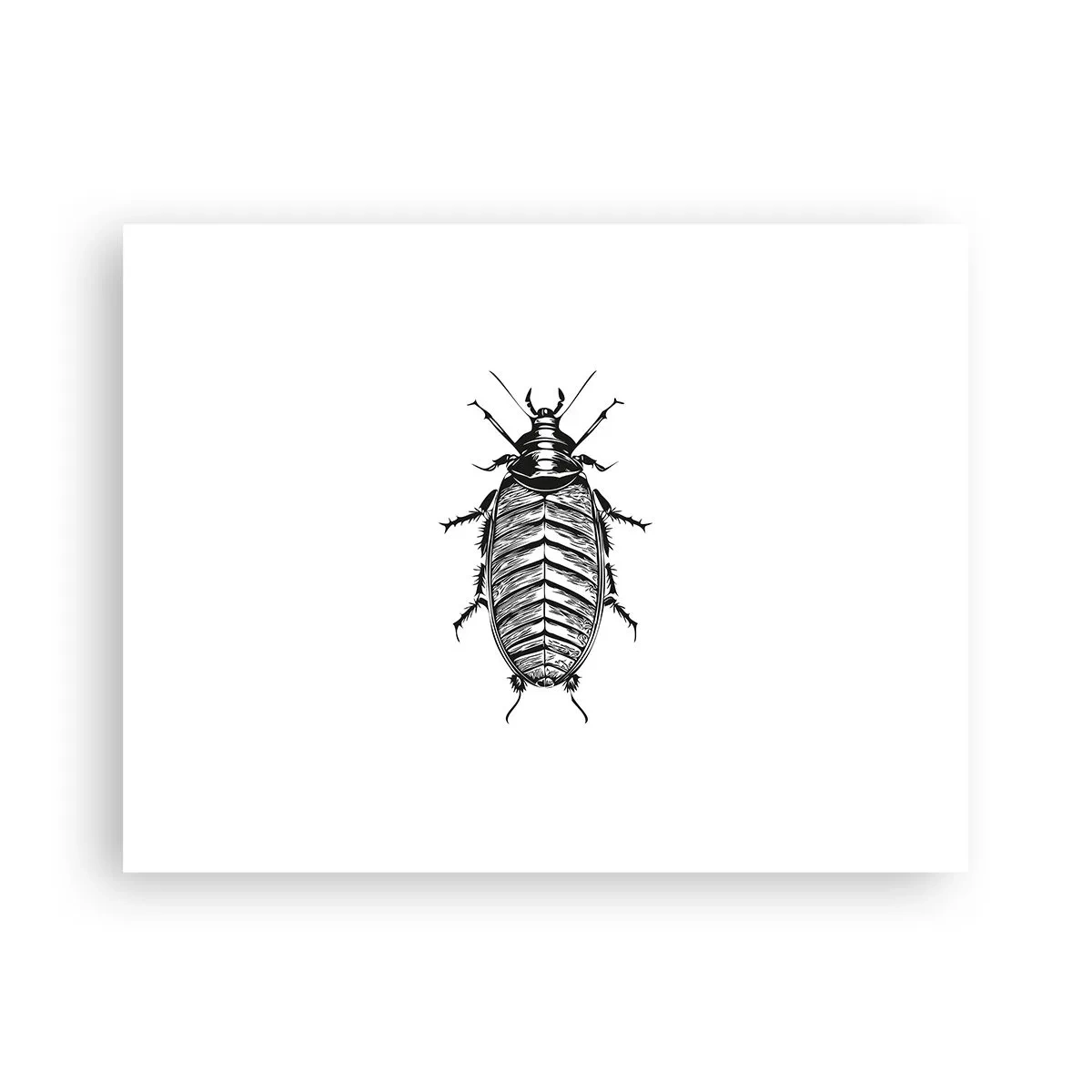 Poster - Che esemplare! - 40x30 cm