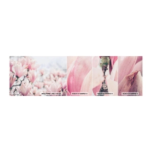 Campione di Fotomurale Adesivo Deluxe Sticker - Ideale di delicatezza - Magnolia, Fiori, Albero di magnolia - 100x30 cm