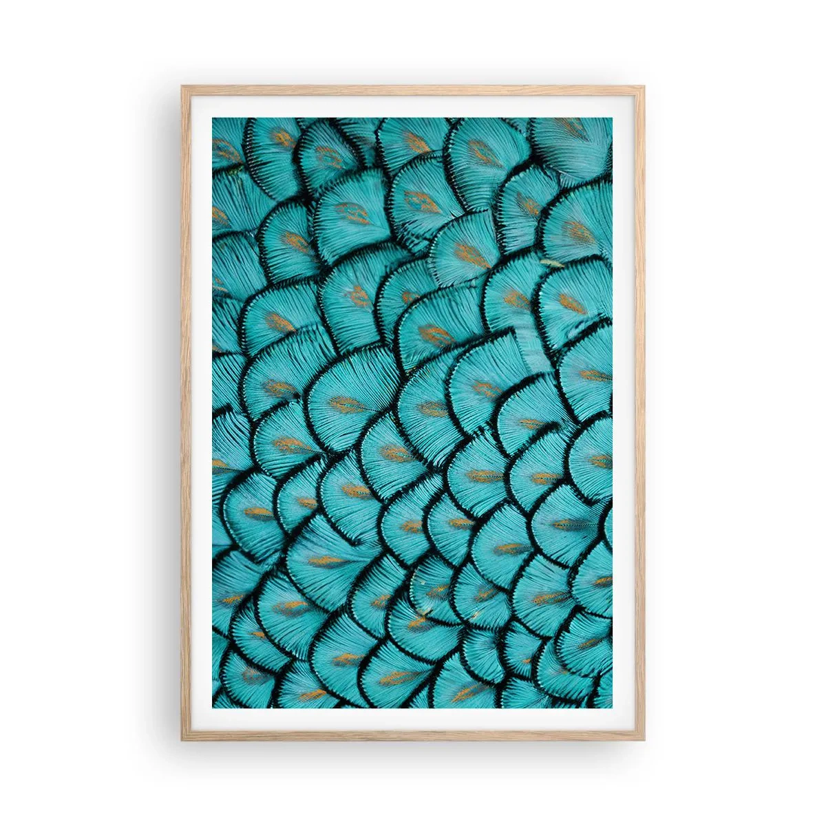 Poster in cornice rovere chiaro - La grande festa delle piume - 70x100 cm