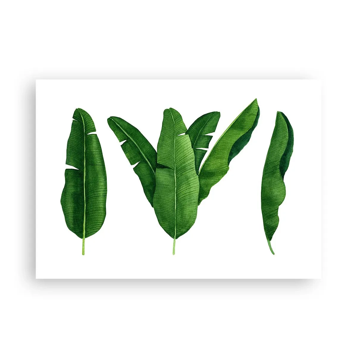 Poster - Tre foglie di banano in un approccio artistico - 100x70cm - Simmetria verde - Decorazione murale moderna per soggiorno e camera da letto ARTTOR