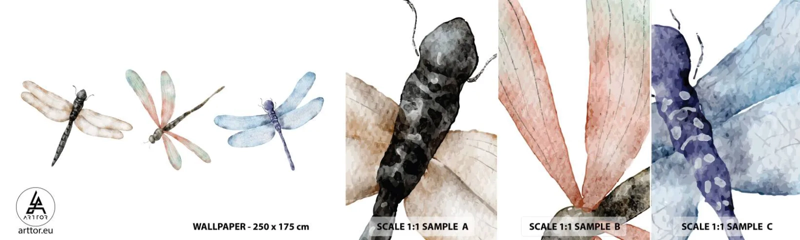 Campione Di Fotomurale Standard Eco - Libellule senza peso - insetti, Minimalista, Pesante - 100x30 cm