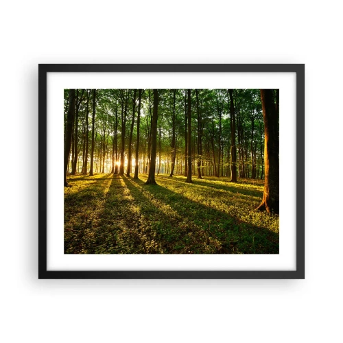 Poster in cornice nera - La foto di ogni primavera - 50x40 cm