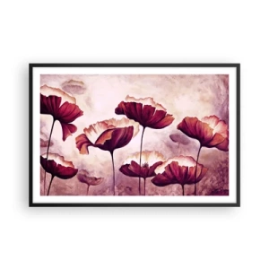 Poster in cornice nera - Petalo rosso e bianco - 91x61 cm