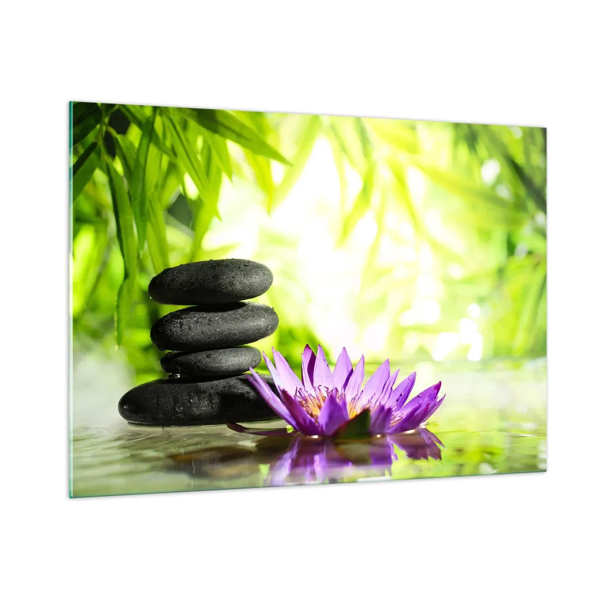 Quadro su vetro - Fiore di loto viola con pietre zen su sfondo verde - 100x70cm - In un cespuglio di bambù - Decorazione murale moderna per soggiorno e camera da letto ARTTOR