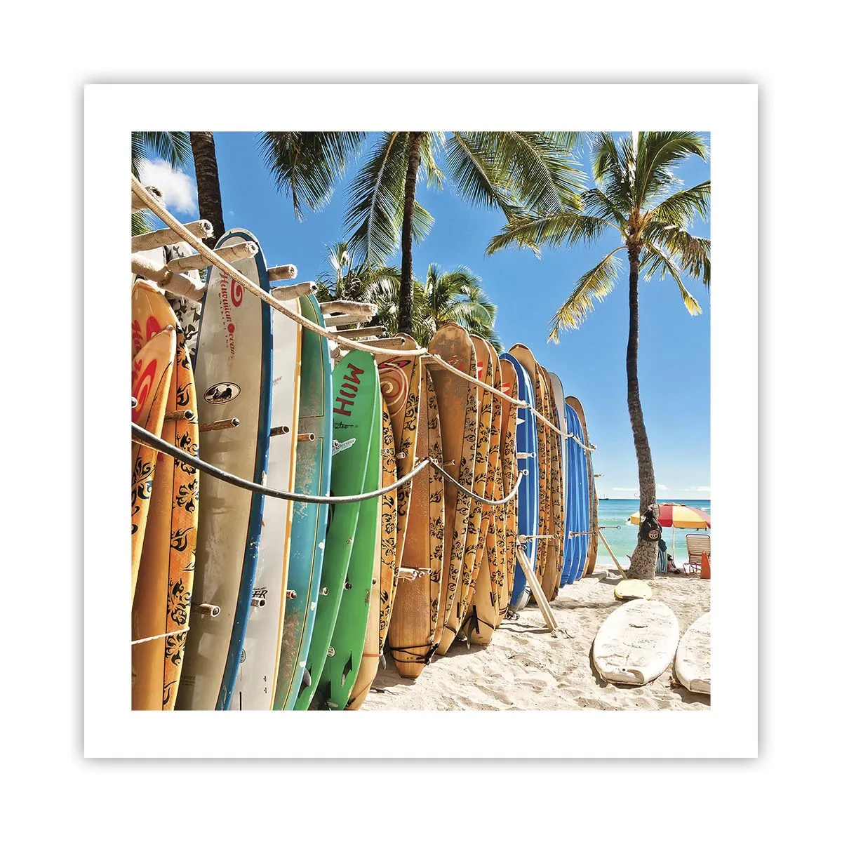 Poster - Divertimento sotto il sole - 50x50 cm