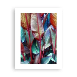 Poster - Selva colorata - 30x40 cm