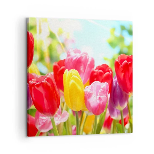 Quadro su tela - Stampe su Tela - Eccoci, i colori di maggio! - 60x60 cm
