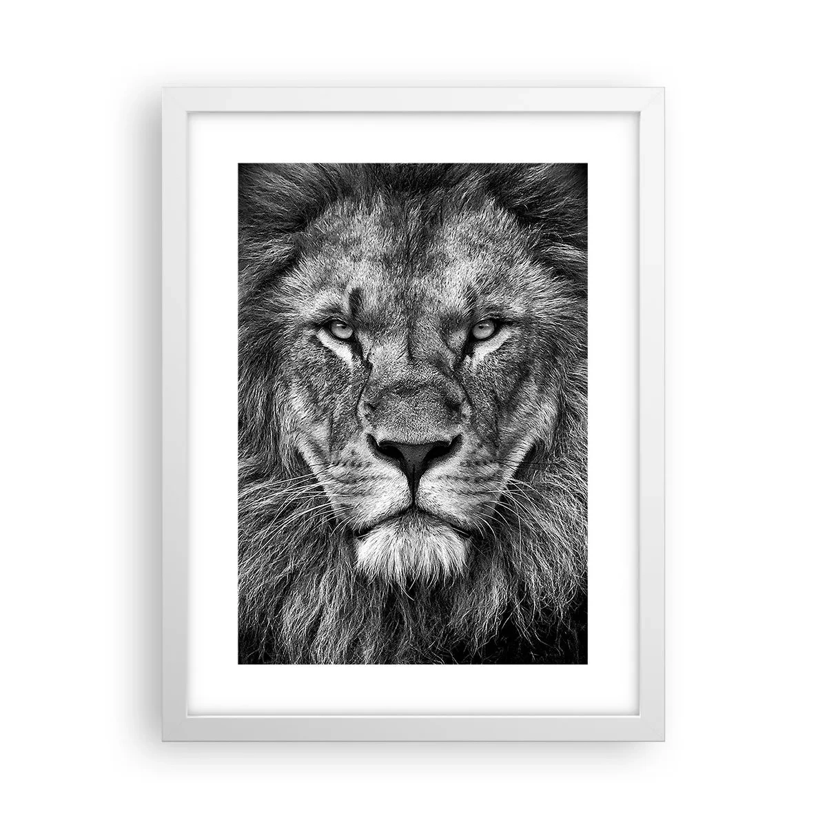 Poster in cornice bianca - Nell'abito dell'incoronazione - 30x40 cm