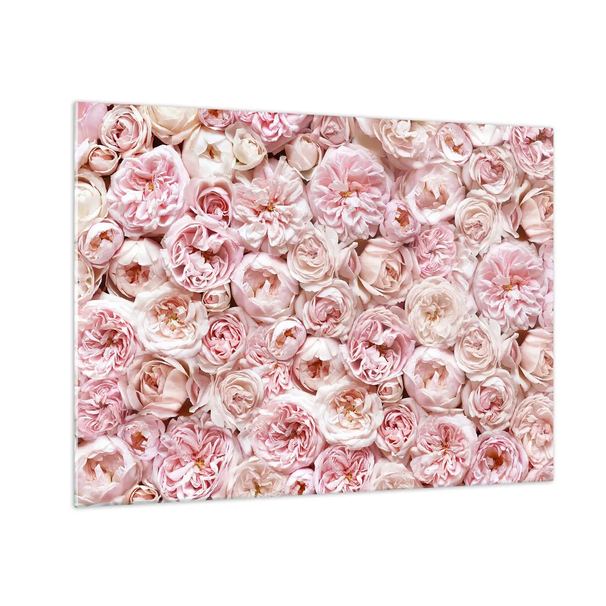 Quadro su vetro - Rose pastello in una fitta composizione floreale - 70x50cm - Coperto di rose - Decorazione murale moderna per soggiorno e camera da letto ARTTOR
