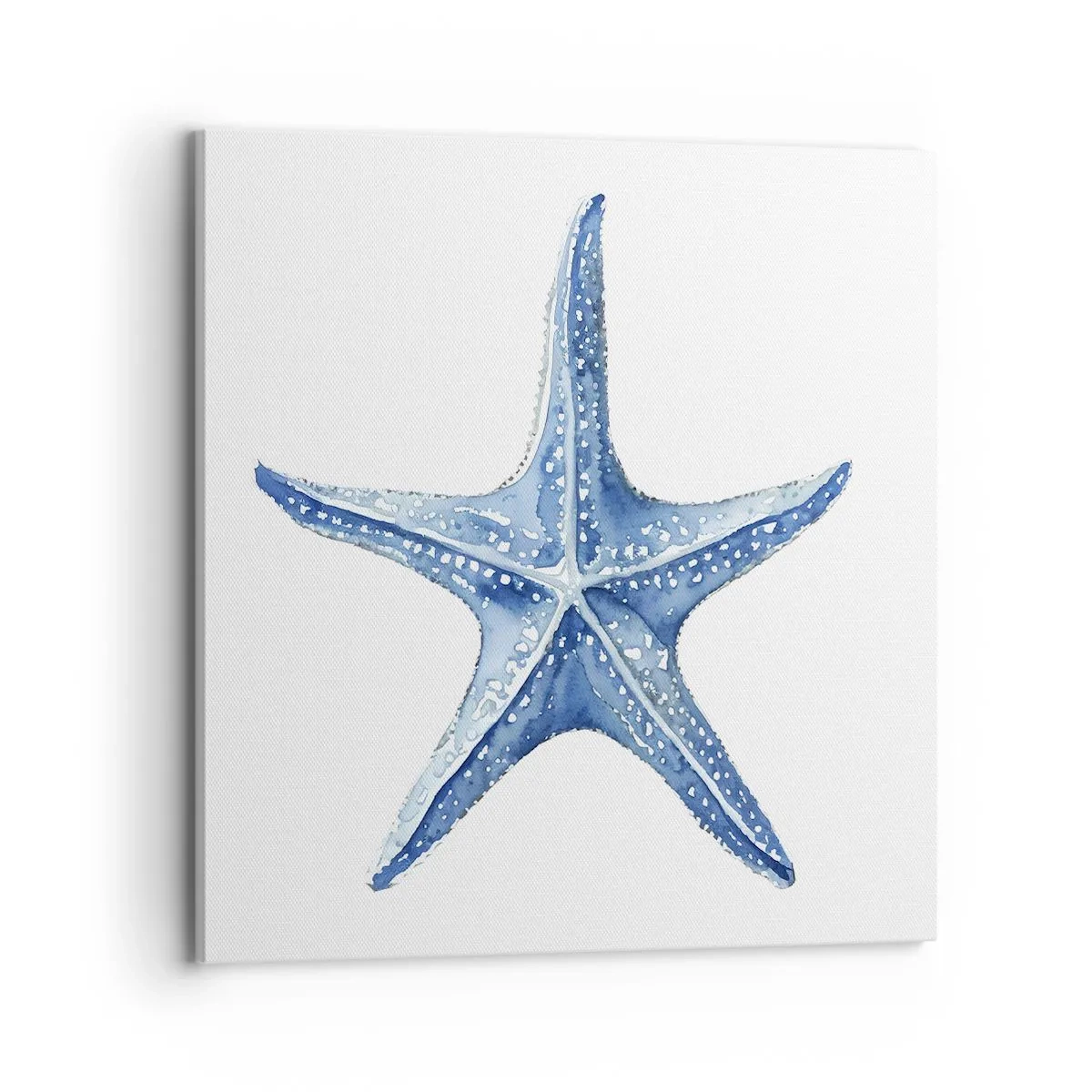 Quadro su tela - Stampe su Tela - Stella marina - 70x70 cm