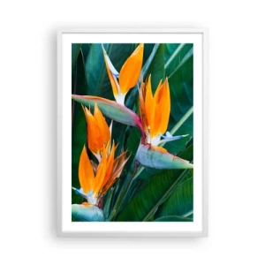 Poster in cornice bianca - È un fiore o un uccello? - 50x70 cm