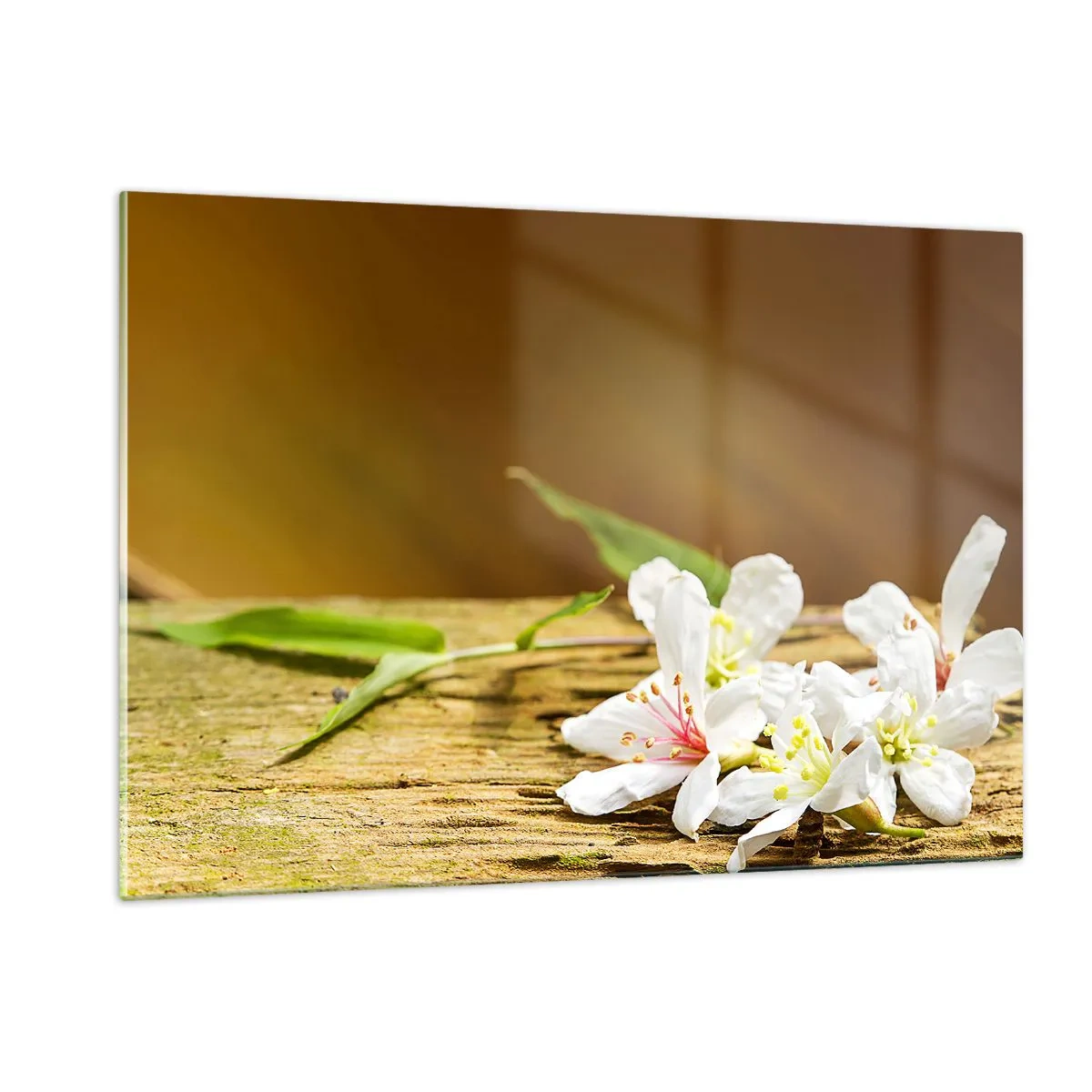 Quadro su vetro - Fiori bianchi su uno sfondo di legno in luce calda - 120x80cm - Promessa innocente - Decorazione murale moderna per soggiorno e camera da letto ARTTOR