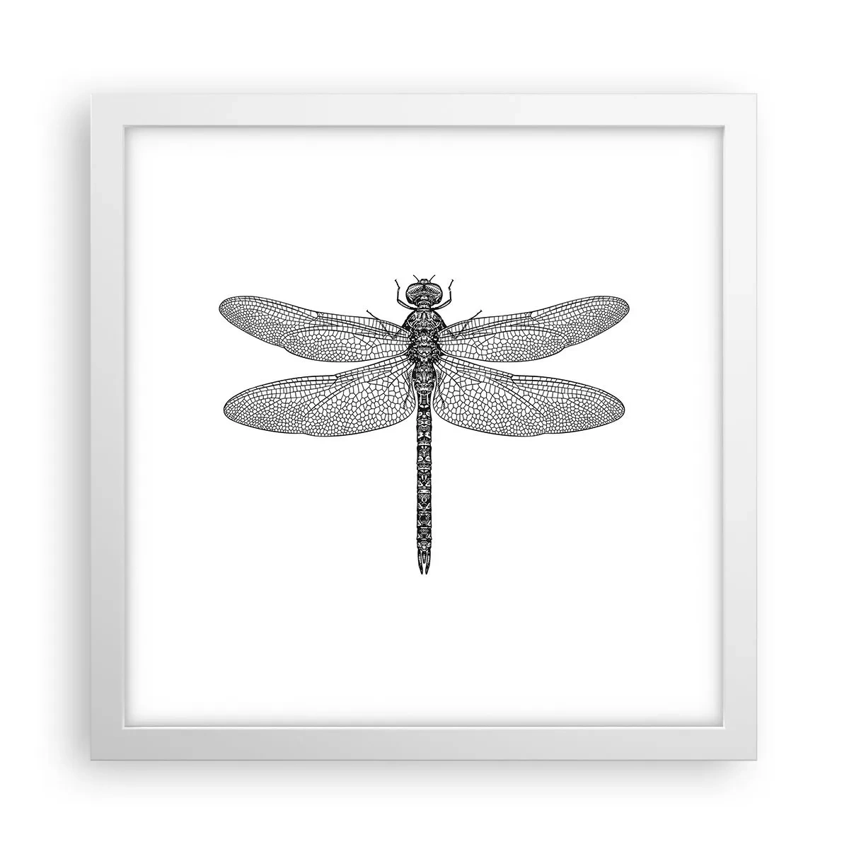 Poster in cornice bianca - La precisione della natura - 30x30 cm