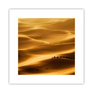 Poster - La carovana sulle onde del deserto - 30x30 cm