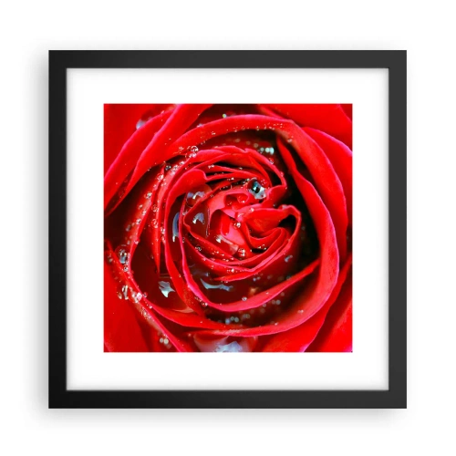 Poster in cornice nera - Nelle gocce della rugiada - 30x30 cm