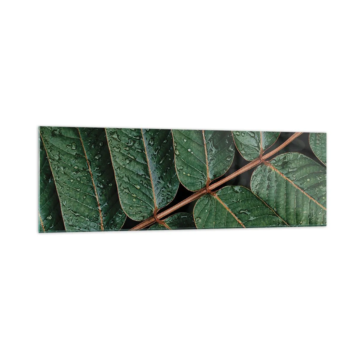 Quadro su vetro - Macro di foglie verdi con gocce di rugiada - 160x50cm - Al ritmo verde - Decorazione murale moderna per soggiorno e camera da letto ARTTOR